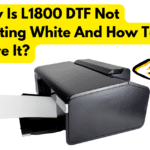 Why Is L1800 DTF Not Printing White And How To Solve It?